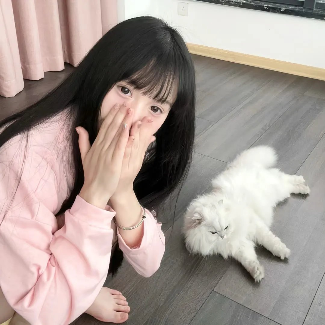 洛克人 向星星许愿